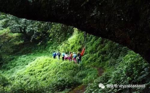 可爱猴子装扮